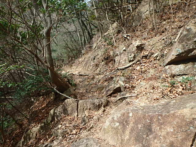 f0334143_933137.jpg