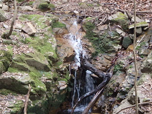 f0334143_9335337.jpg