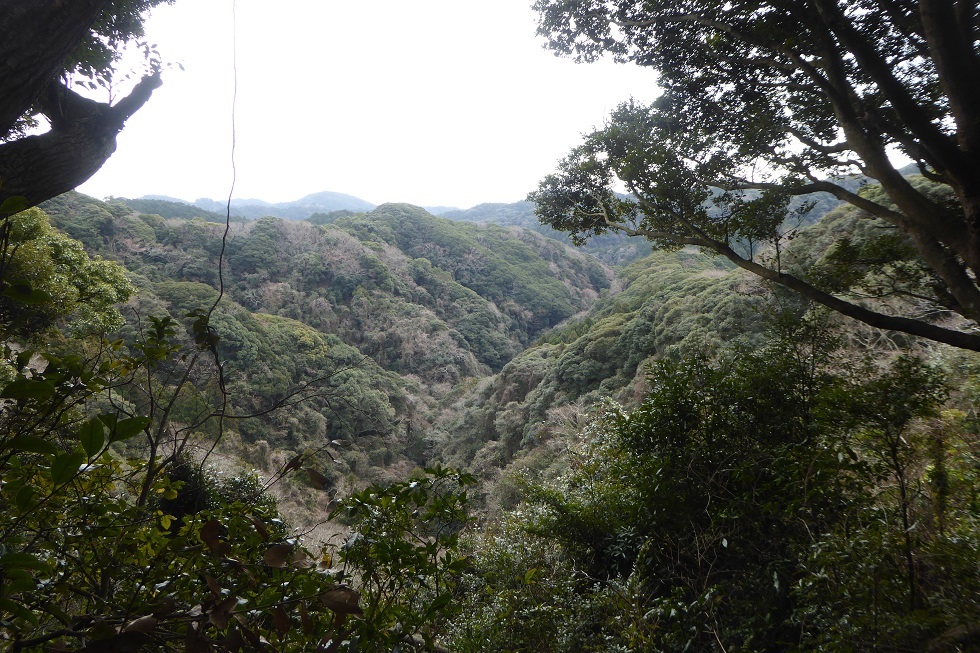 d0288144_22345875.jpg