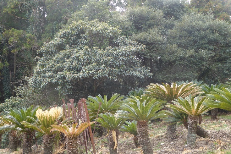 d0288144_22362544.jpg