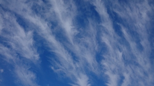 f0326946_23151489.jpg