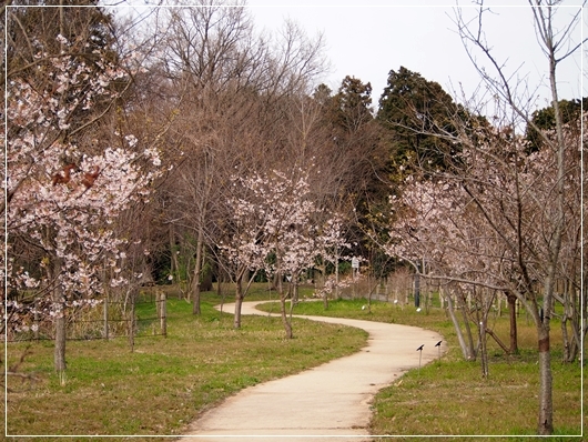 d0013149_00184669.jpg