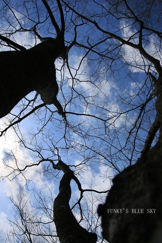 c0145250_09252699.jpg