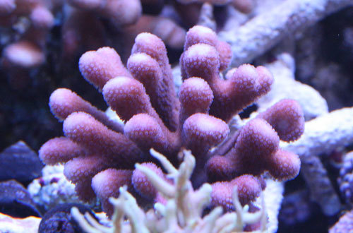 c0165758_23120157.jpg