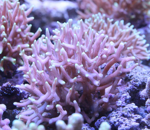 c0165758_23122567.jpg