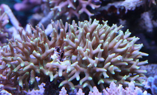 c0165758_23123883.jpg