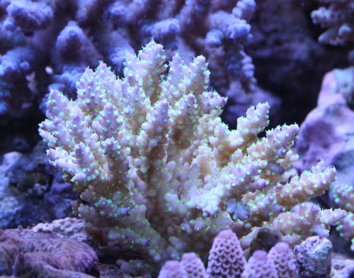 c0165758_23124479.jpg