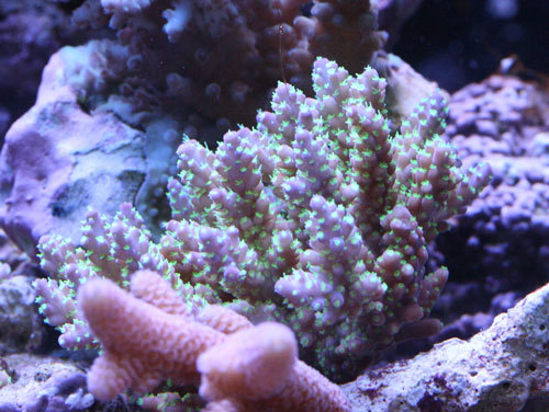c0165758_23130498.jpg