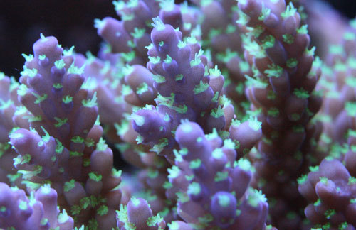 c0165758_23131202.jpg