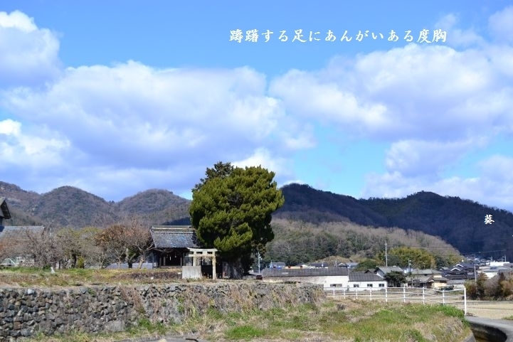 f0379160_09482190.jpg