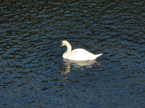 d0029363_0311145.jpg