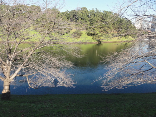 d0029363_0312514.jpg