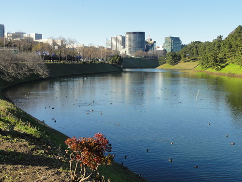d0029363_0325867.jpg