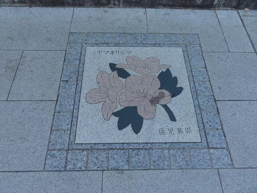 d0029363_0524267.jpg