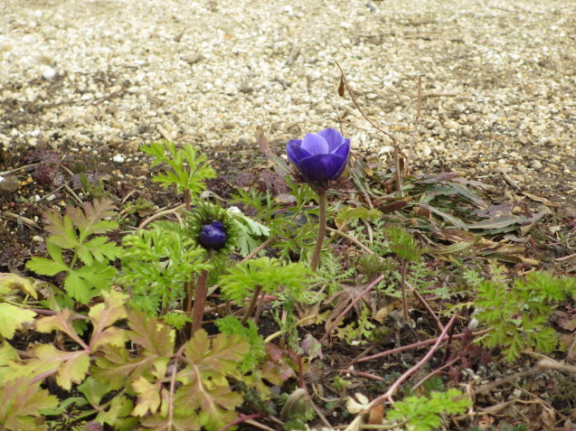 a0243064_19255388.jpg
