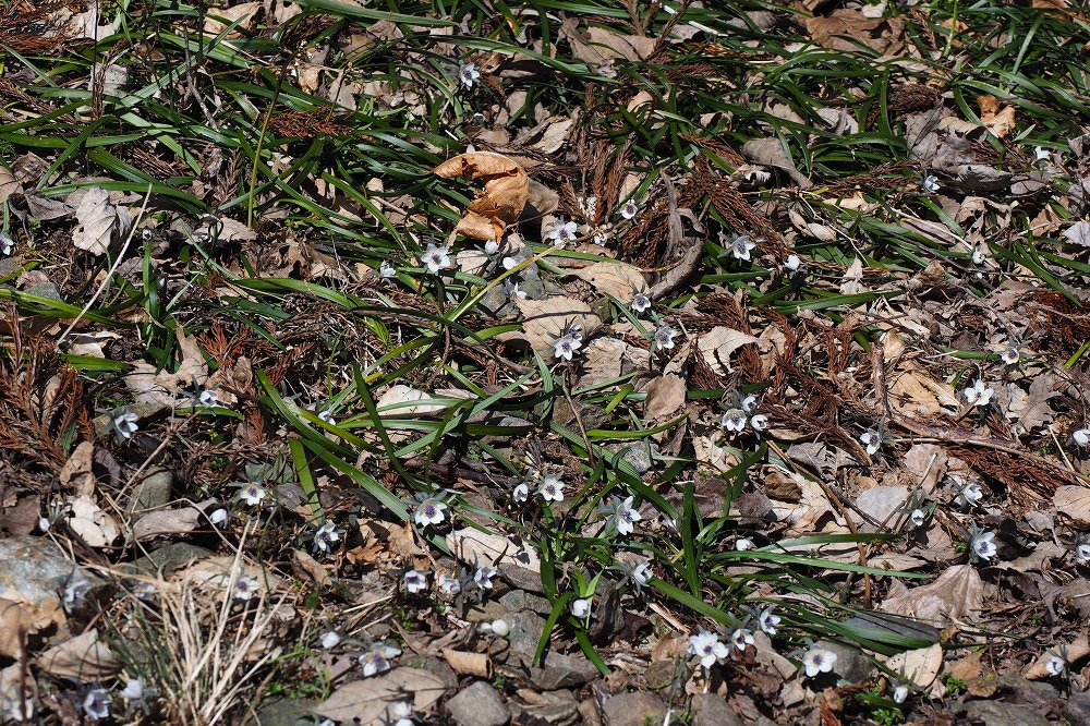 b0140765_1456093.jpg