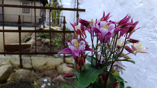 f0260167_10175385.jpg