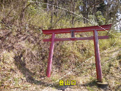 d0126573_218156.jpg