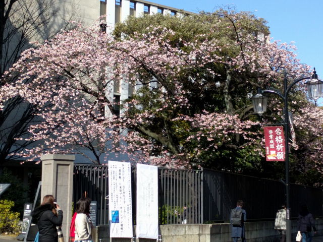a0113874_17385039.jpg