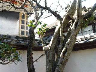 e0046477_1912995.jpg