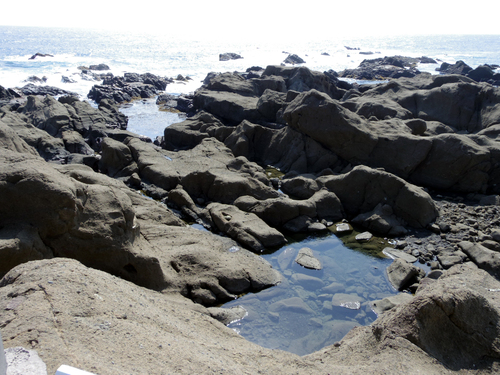 c0051781_2341299.jpg