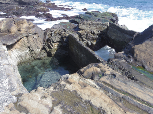 c0051781_23434260.jpg