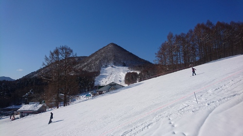e0015490_2075153.jpg