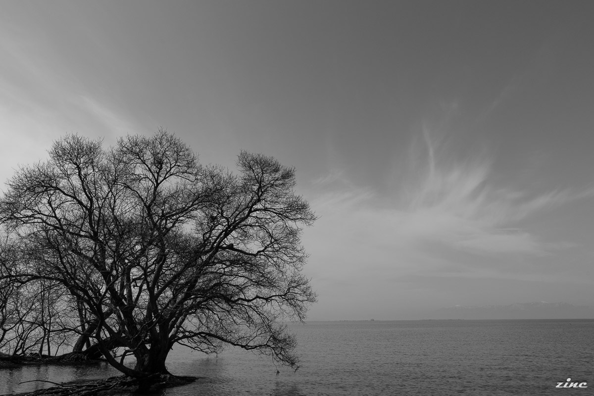 e0191191_22214599.jpg