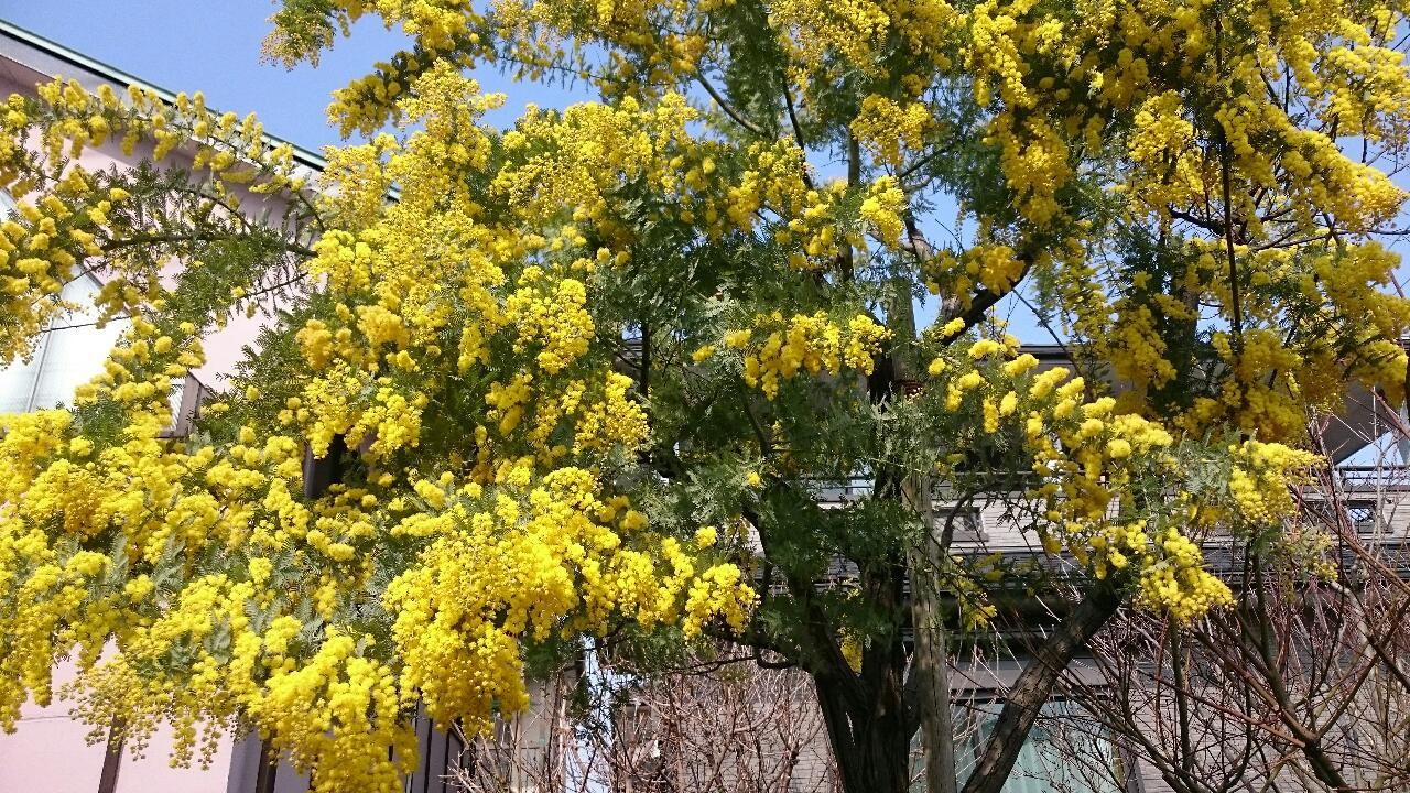 e0350415_03390084.jpg