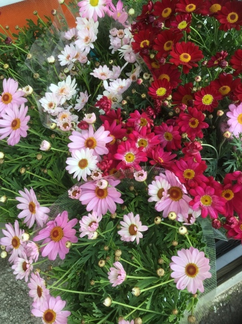 c0103830_07473424.jpg