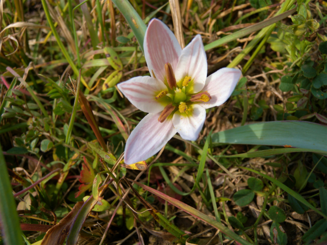 e0272335_18401665.jpg
