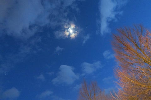 f0234936_915203.jpg