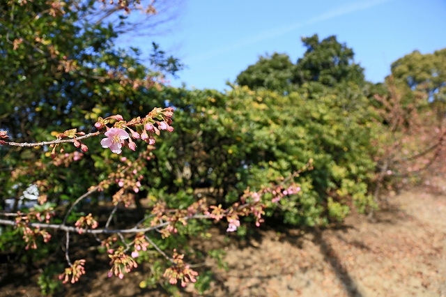 a0242438_20205108.jpg