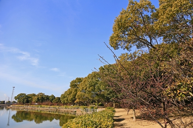 a0242438_20205242.jpg