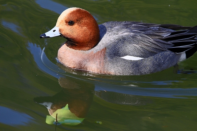 a0242438_21193351.jpg