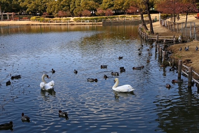 a0242438_21193392.jpg