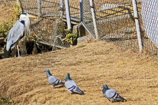 a0242438_21193499.jpg