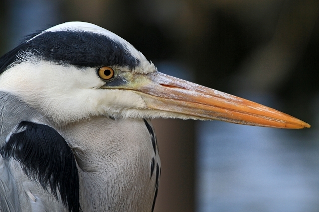 a0242438_21202930.jpg