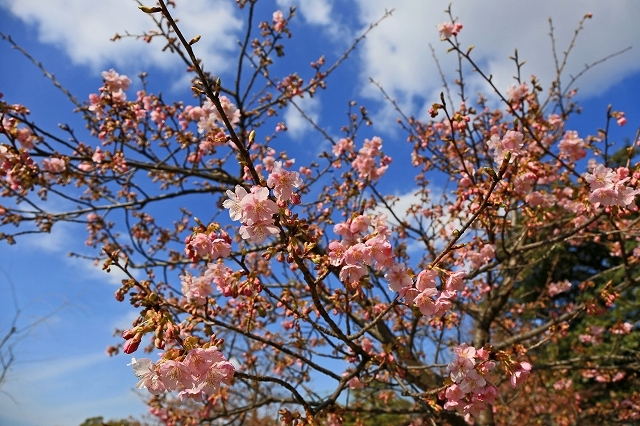 a0242438_21214196.jpg