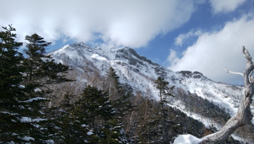 d0107938_1125128.jpg