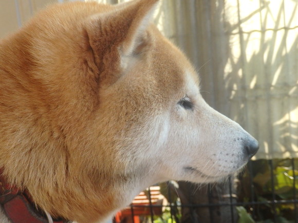 a0054240_21371026.jpg