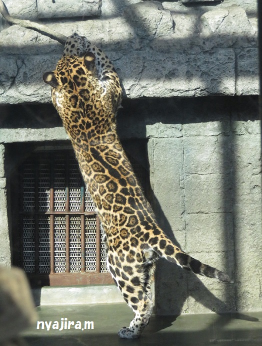 f0002743_171551.jpg