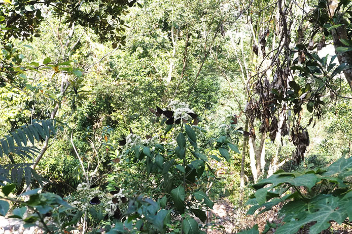 d0149245_14133588.jpg