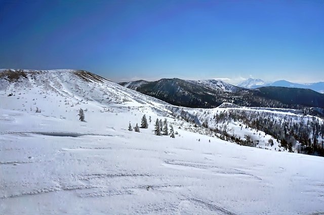 b0122448_21354923.jpg