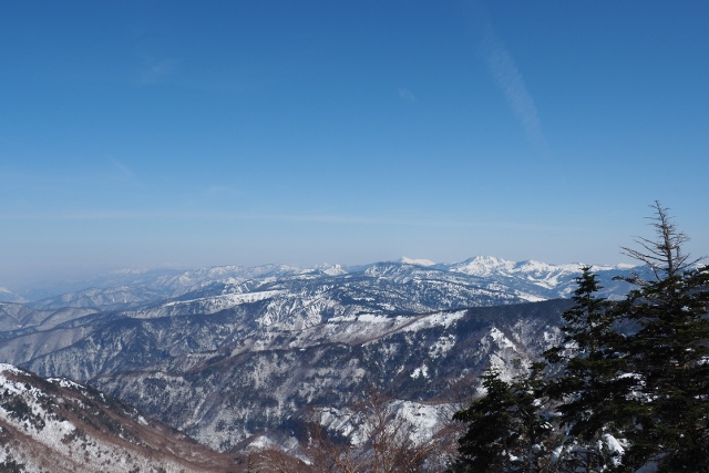 b0189948_13235843.jpg