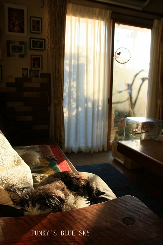 c0145250_08592361.jpg