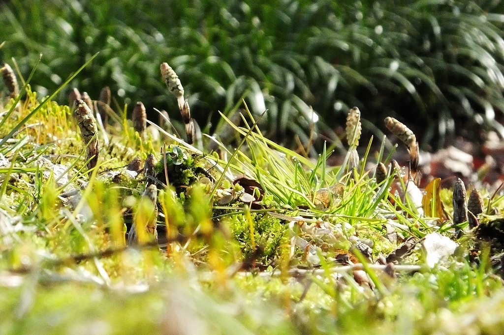 b0236251_11064755.jpg