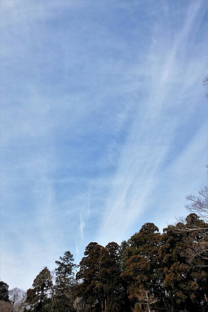 b0236251_11162695.jpg