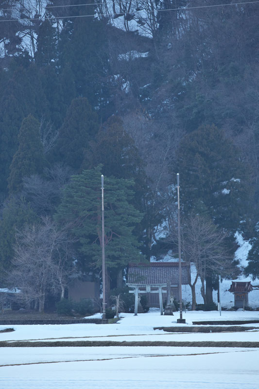 d0342652_164079.jpg