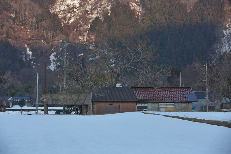 d0342652_1662785.jpg